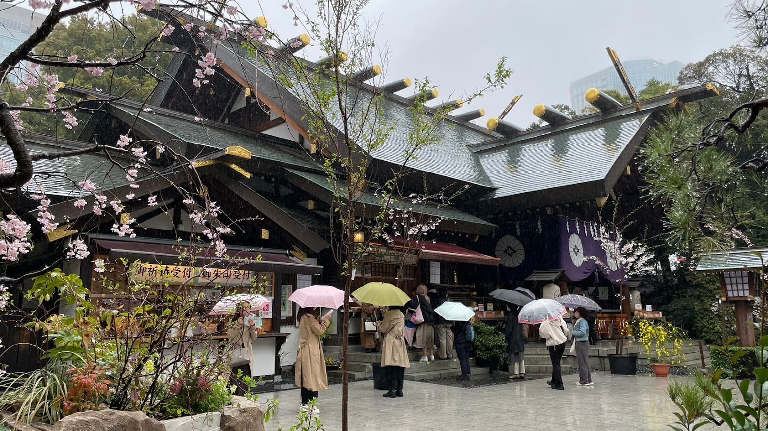東京大神宮 雨天