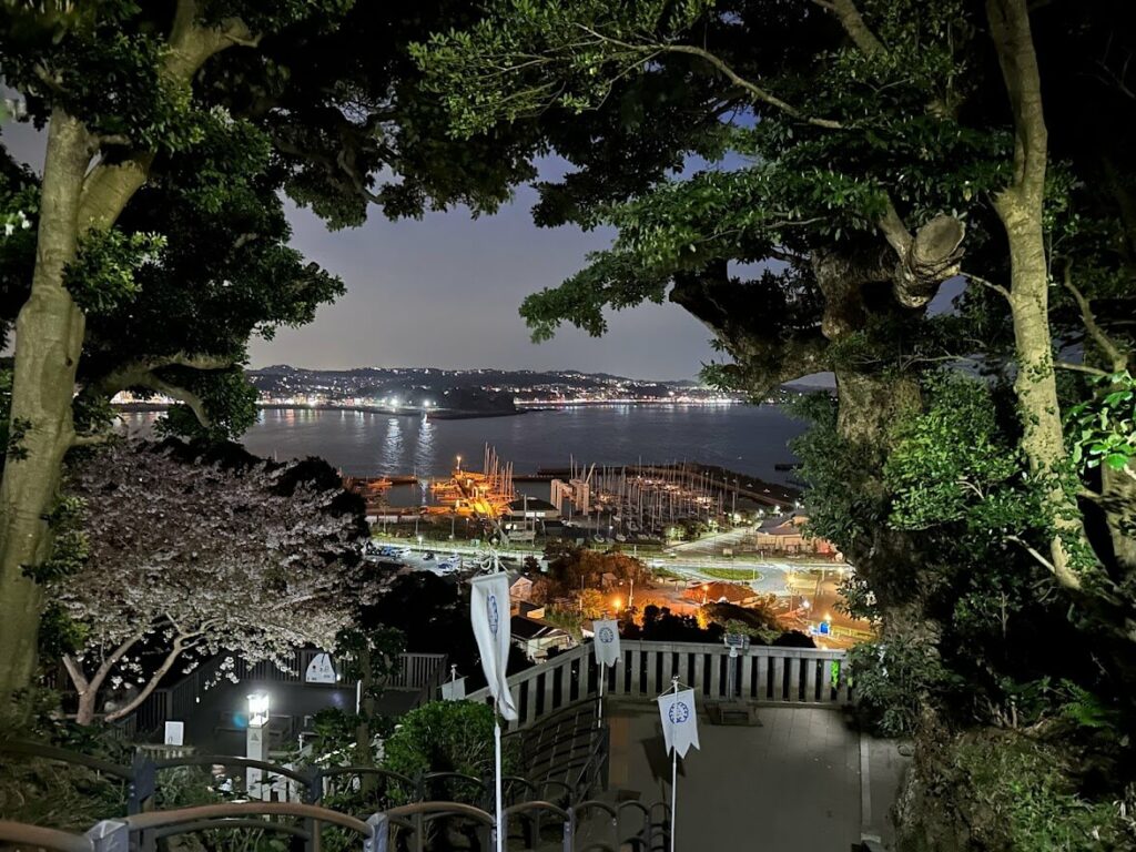 江之島 夜景